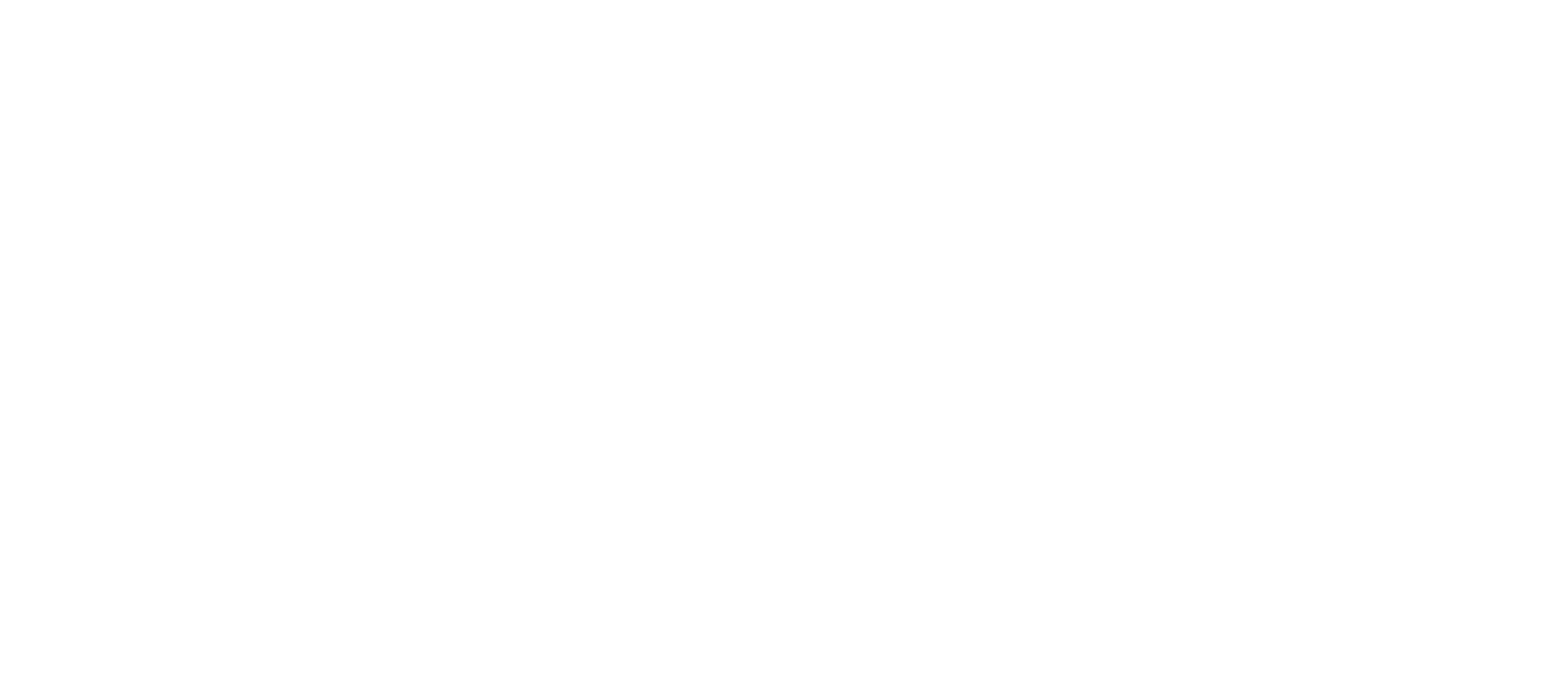 Alcione Ribeiro